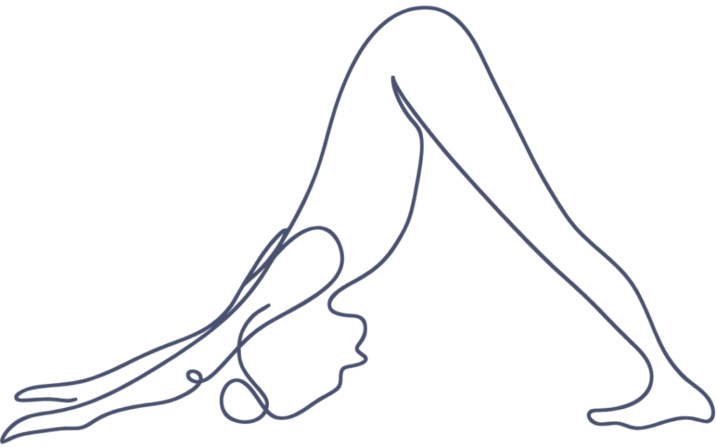 Newsleter Asana